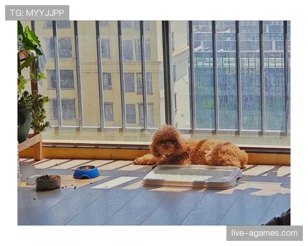 蒋圣龙家的狗都比我会养生