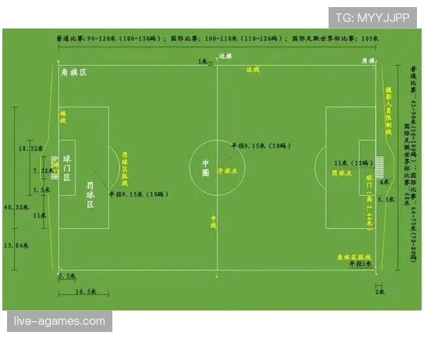 足球比赛中球门尺寸的标准规定及其判罚影响解析